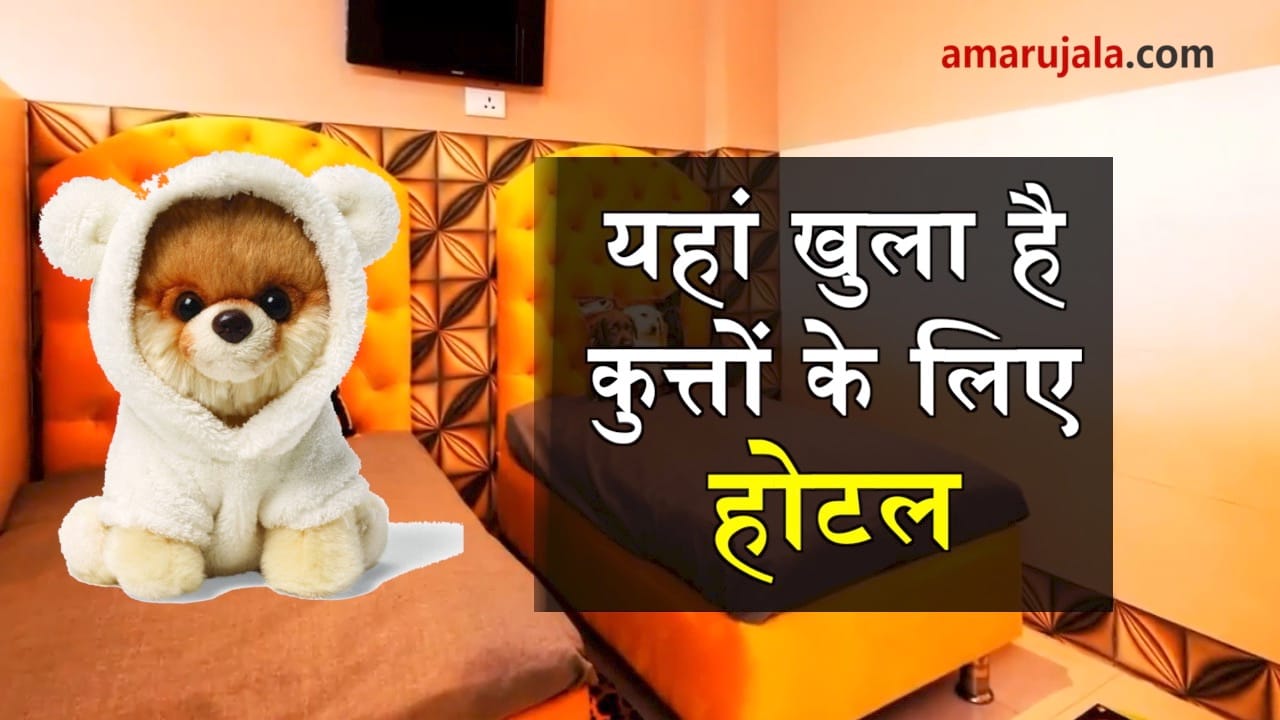 dog hotel in gurugram