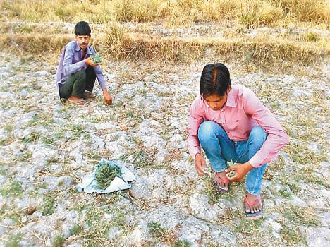 Doaba's heritage will be 'Rudravati' protected