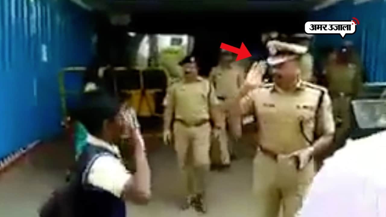 सैल्यूट 