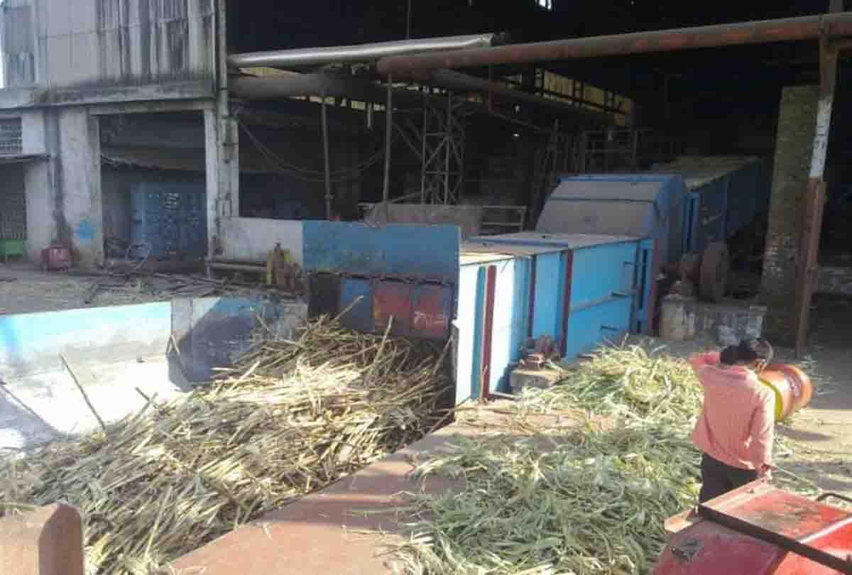 Sugar Technology as a Career