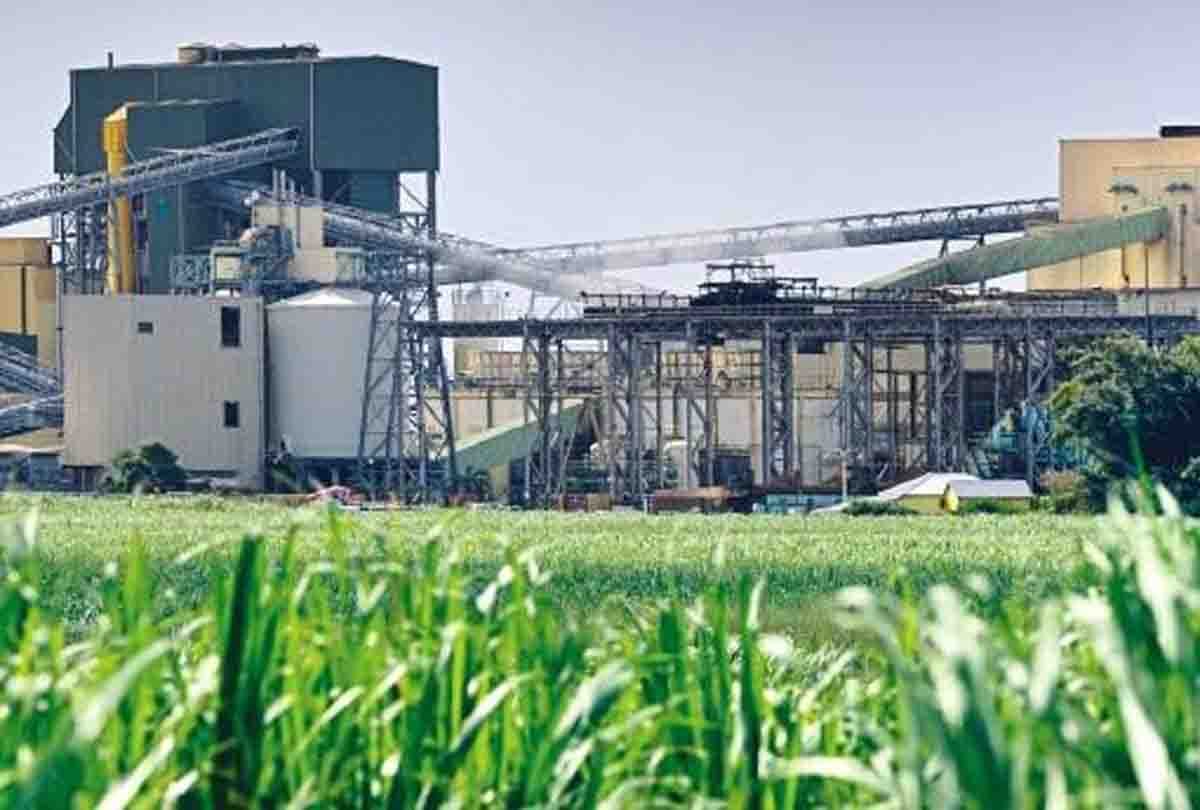 Sugar Technology as a Career