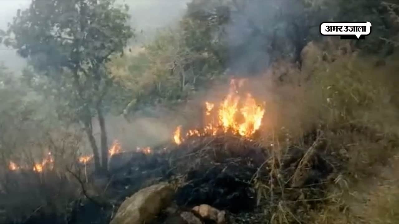 तमिलनाडु