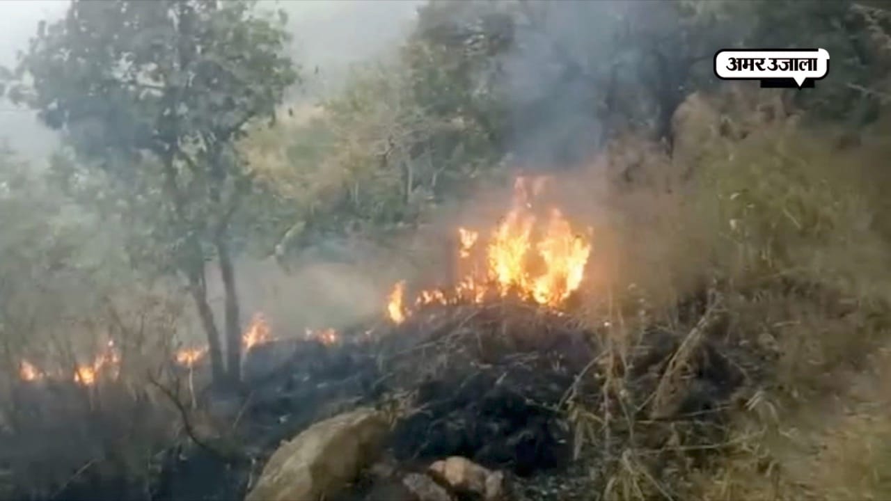 तमिलनाडु