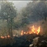 around 36 students trapped in theni forest fire, 4 died and 15 rescued