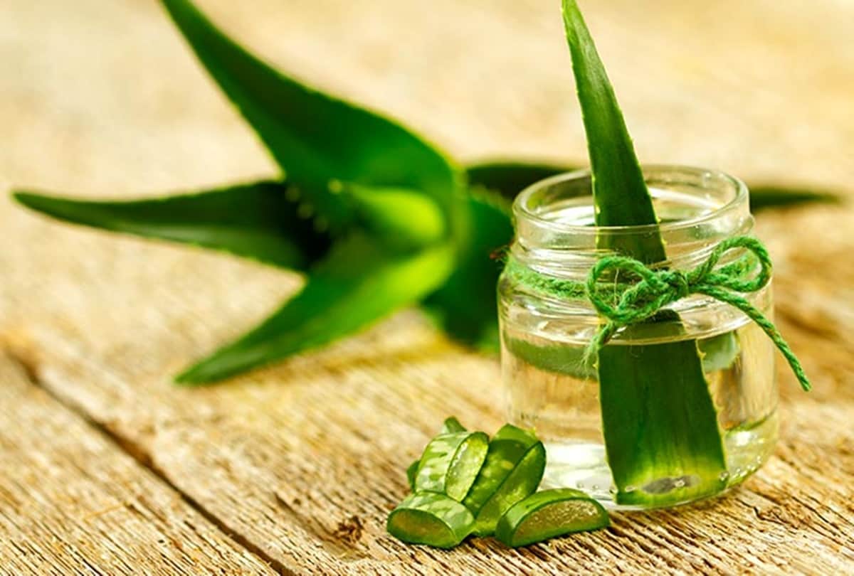 Use Aloe Vera to Rejuvenate Your Hair