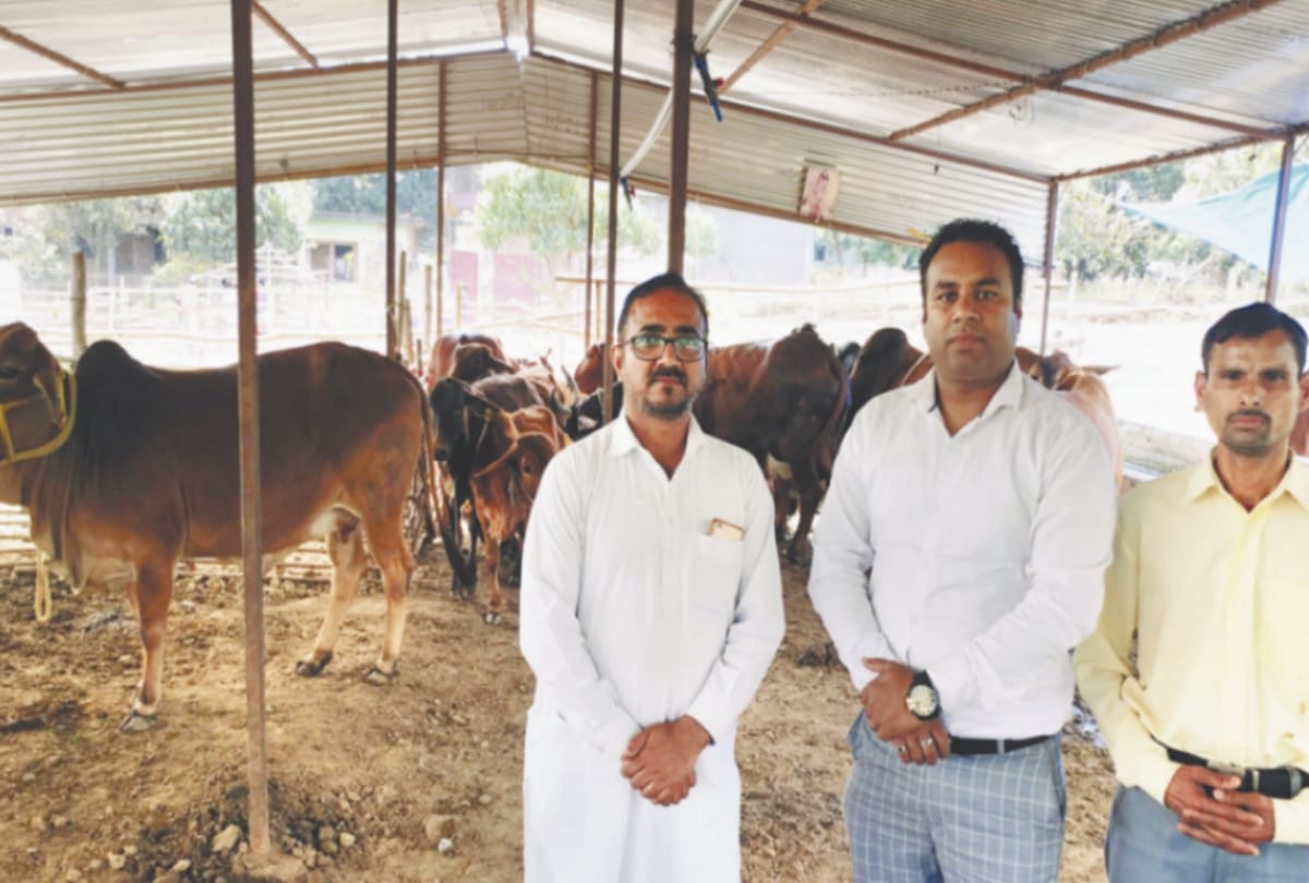 Man who leave principal job for serving cows
