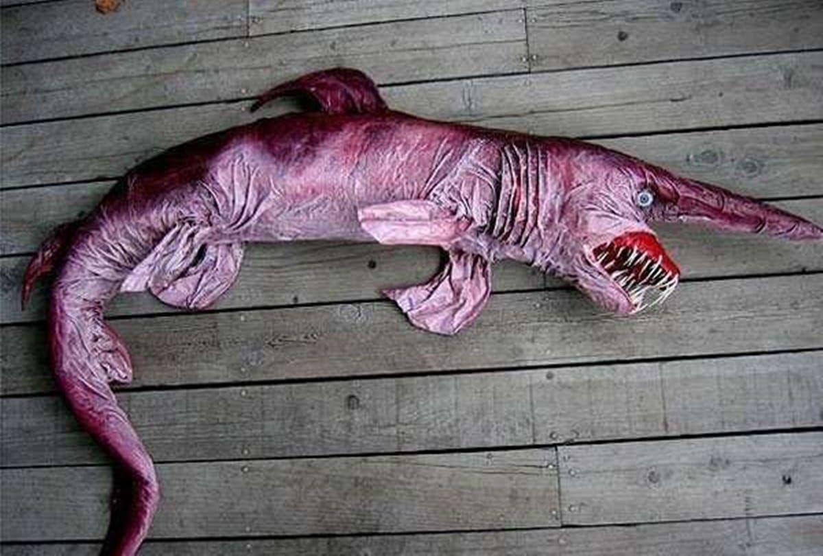 have you ever seen these strange creatures on the earth 