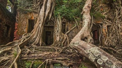 island in the middle of the Indian Ocean, witness to black history of black water punishment 