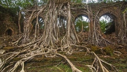 island in the middle of the Indian Ocean, witness to black history of black water punishment 
