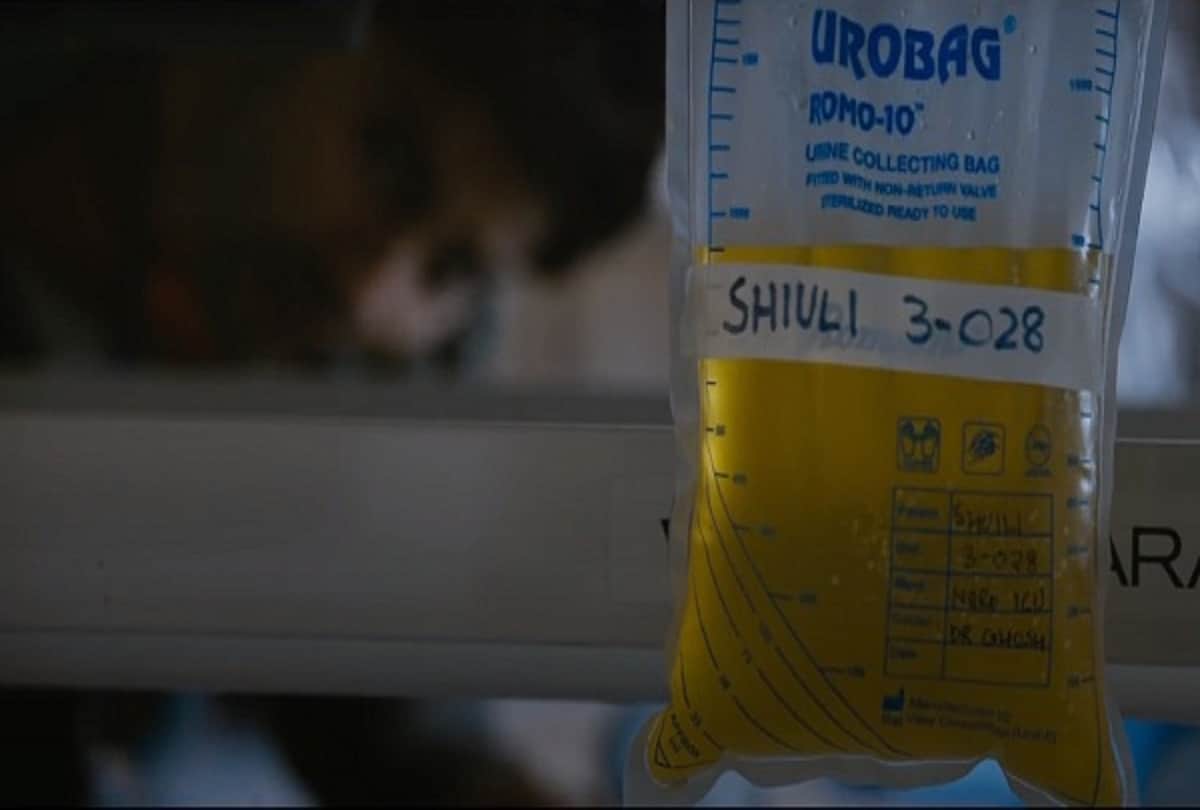 October Trailer Reveals What Shiuli Flower Is Doing In Film Poster And Trailer