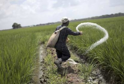 fertilisation decreases as govt bans import of ammonium nitrate 