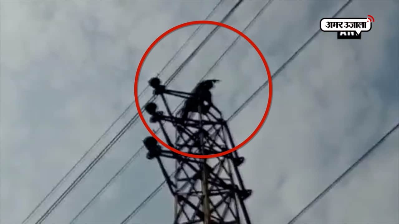 पोल पर चढ़ा कैदी