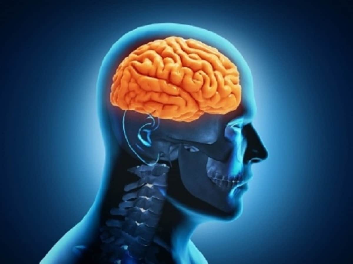 chandigarh Know the causes and symptoms of brain stroke