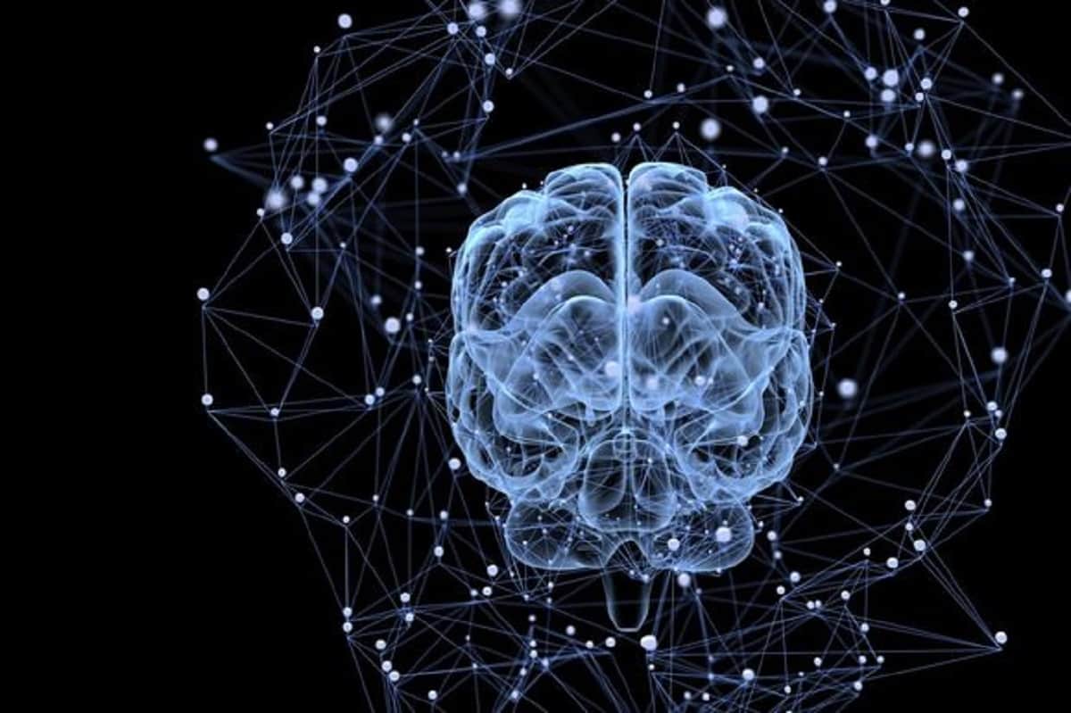 chandigarh Know the causes and symptoms of brain stroke