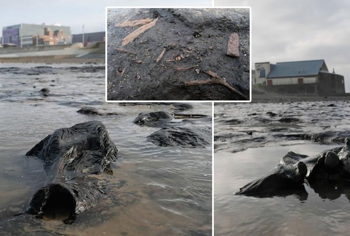 seven thousand year old Hidden forest found Under a lake at britain 