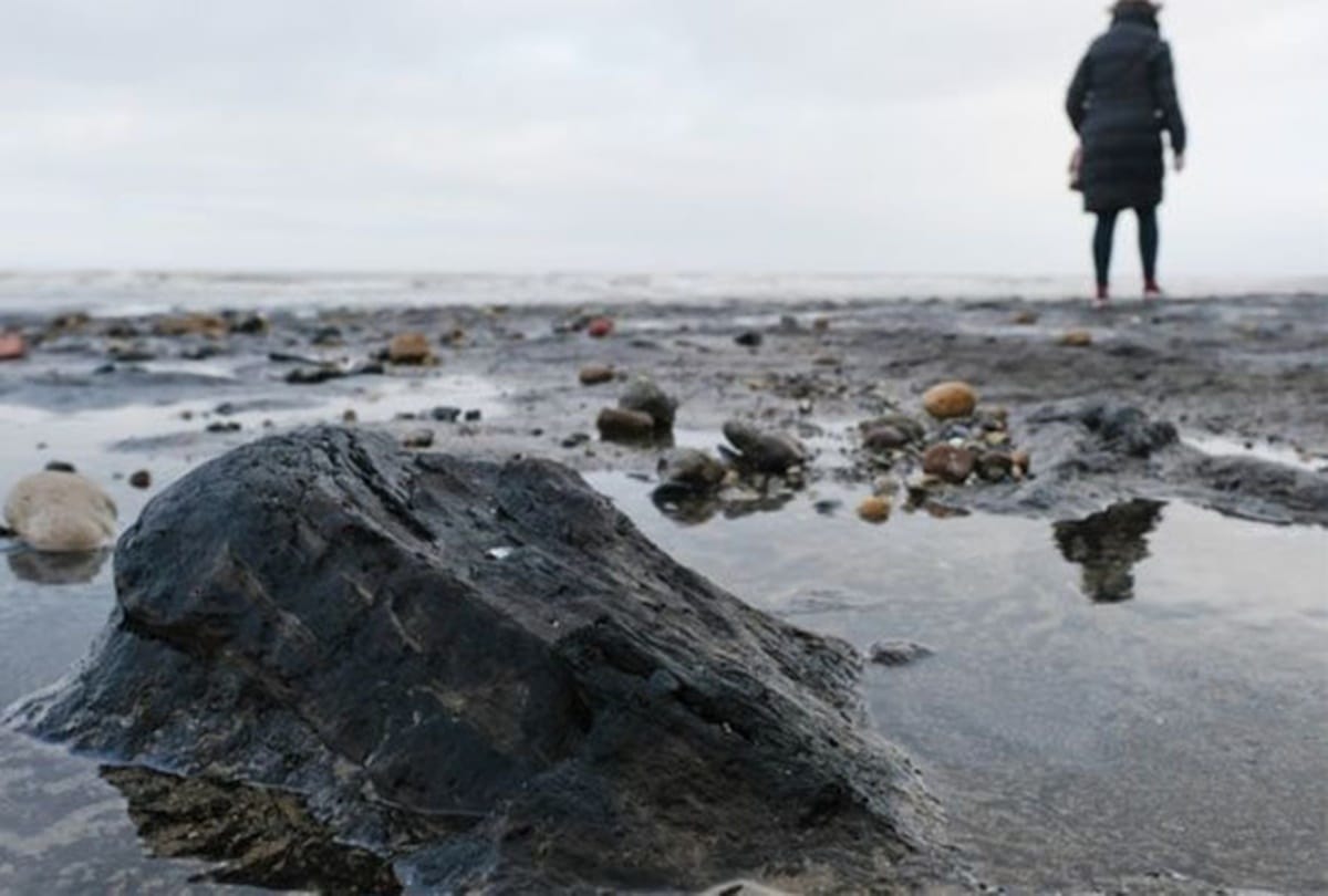 seven thousand year old Hidden forest found Under a lake at britain 