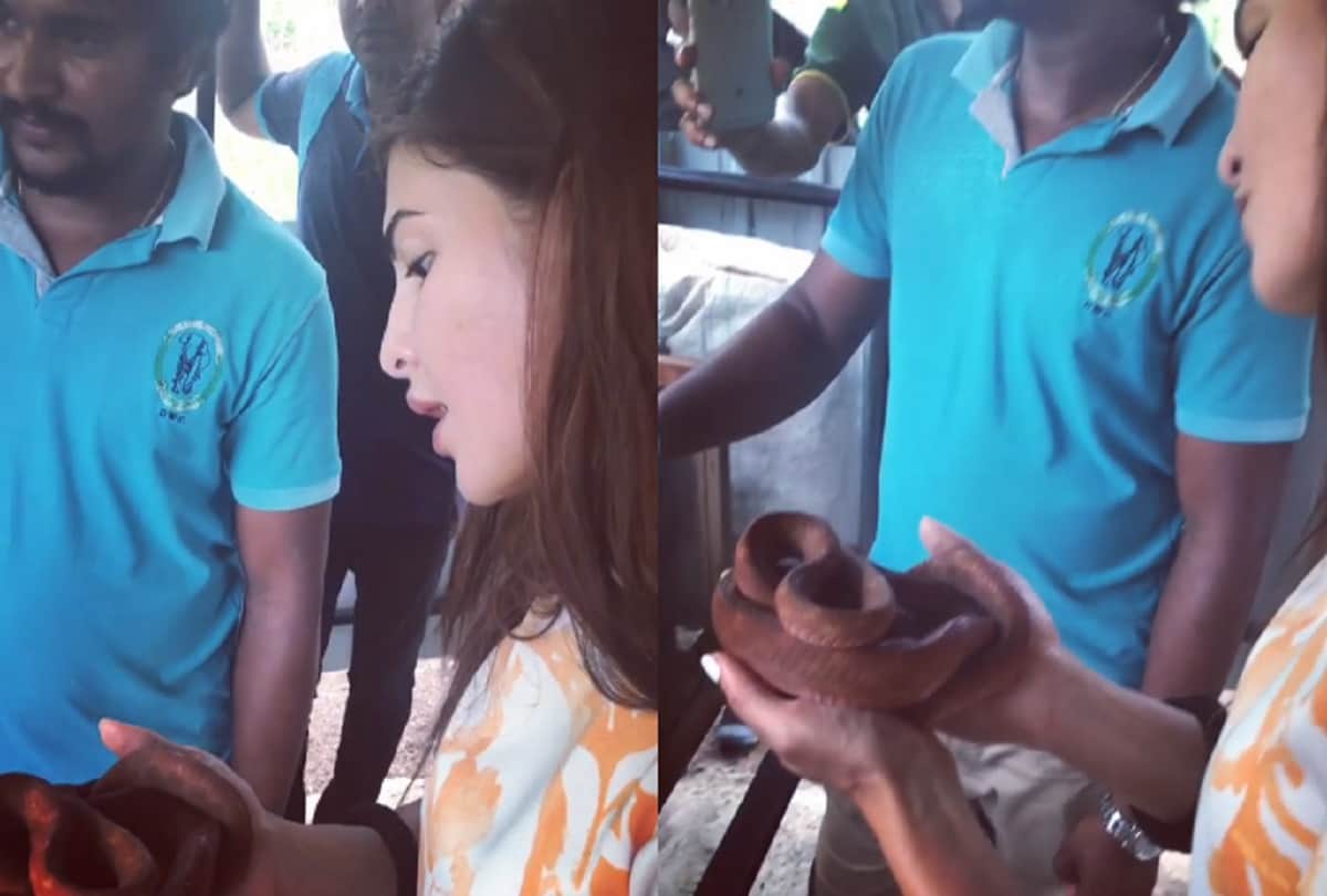 Jacqueline Fernandez holds a live snake on hand video goes viral on internet 