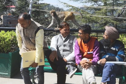 now road facility to villages with one hundred population in himachal