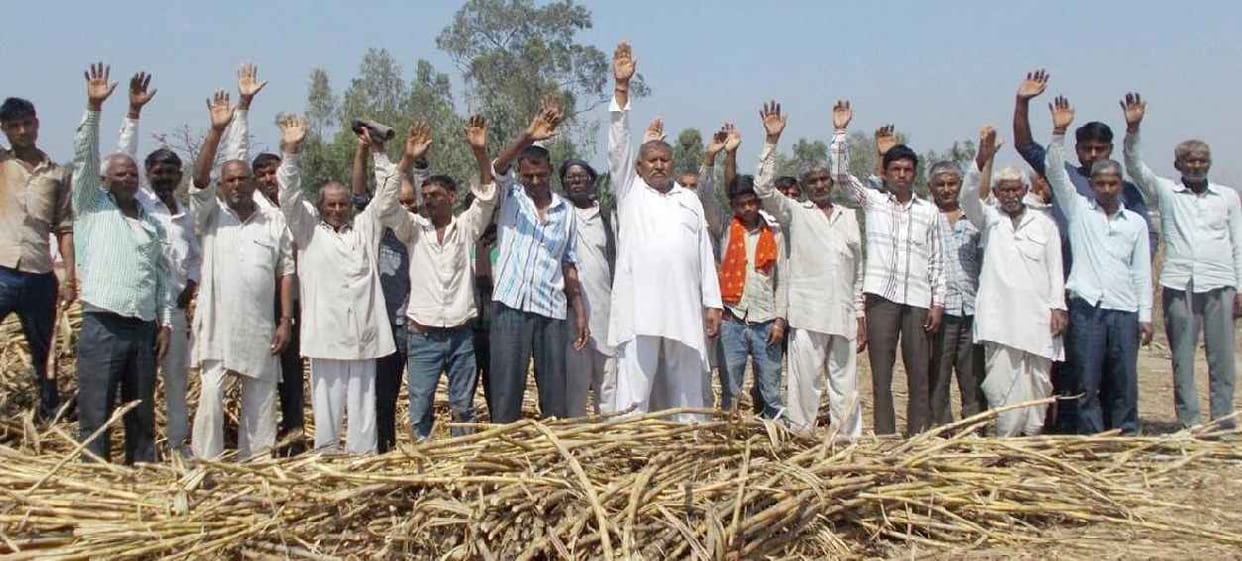 Showcased at the center of the farmers