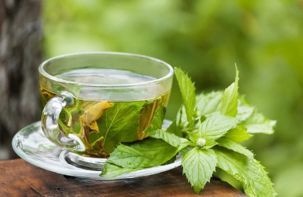 Know many magical benefits of black tea