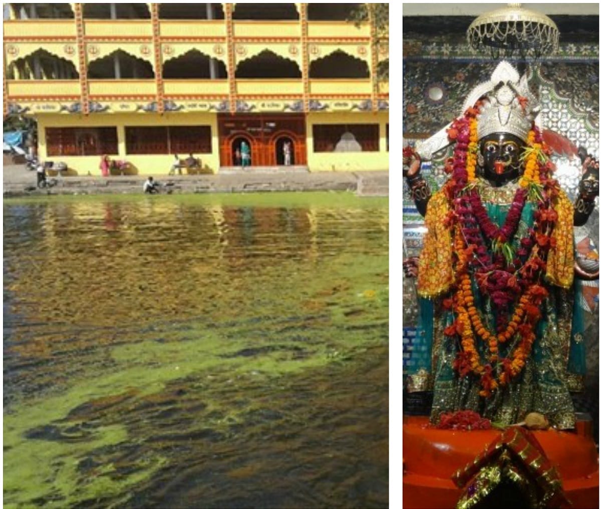 this 51 year old kalika temple is a symbol of belief for all religions