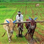central Government to start work on giving 6 thousand rupees to farmers