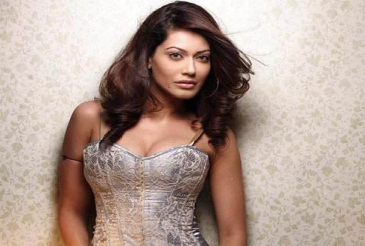 Lok Sabha Elections 2019 Swara Bhaskar Hits Back To payal rohatgi Who Tweeted Against congress