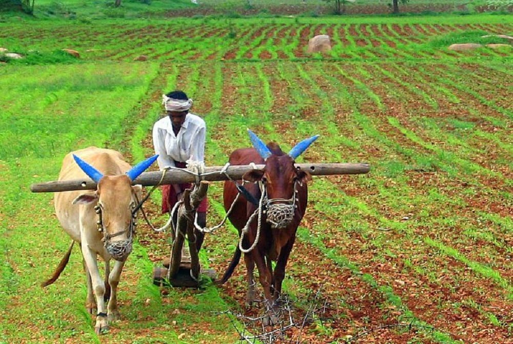 Government can apply Telangana model in new form to make farmers self dependent