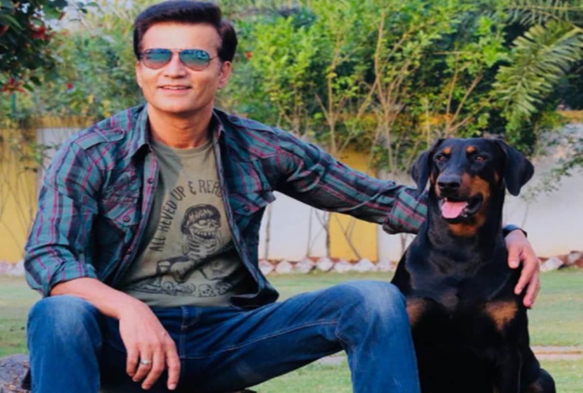 five best role of Narendra Jha in bollywood