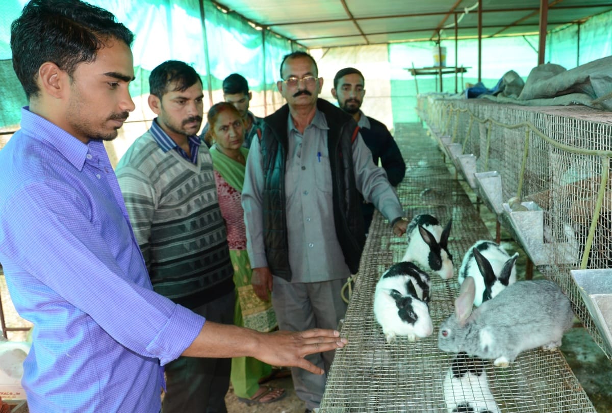 Vipan choose for rabbit farming agter graduation