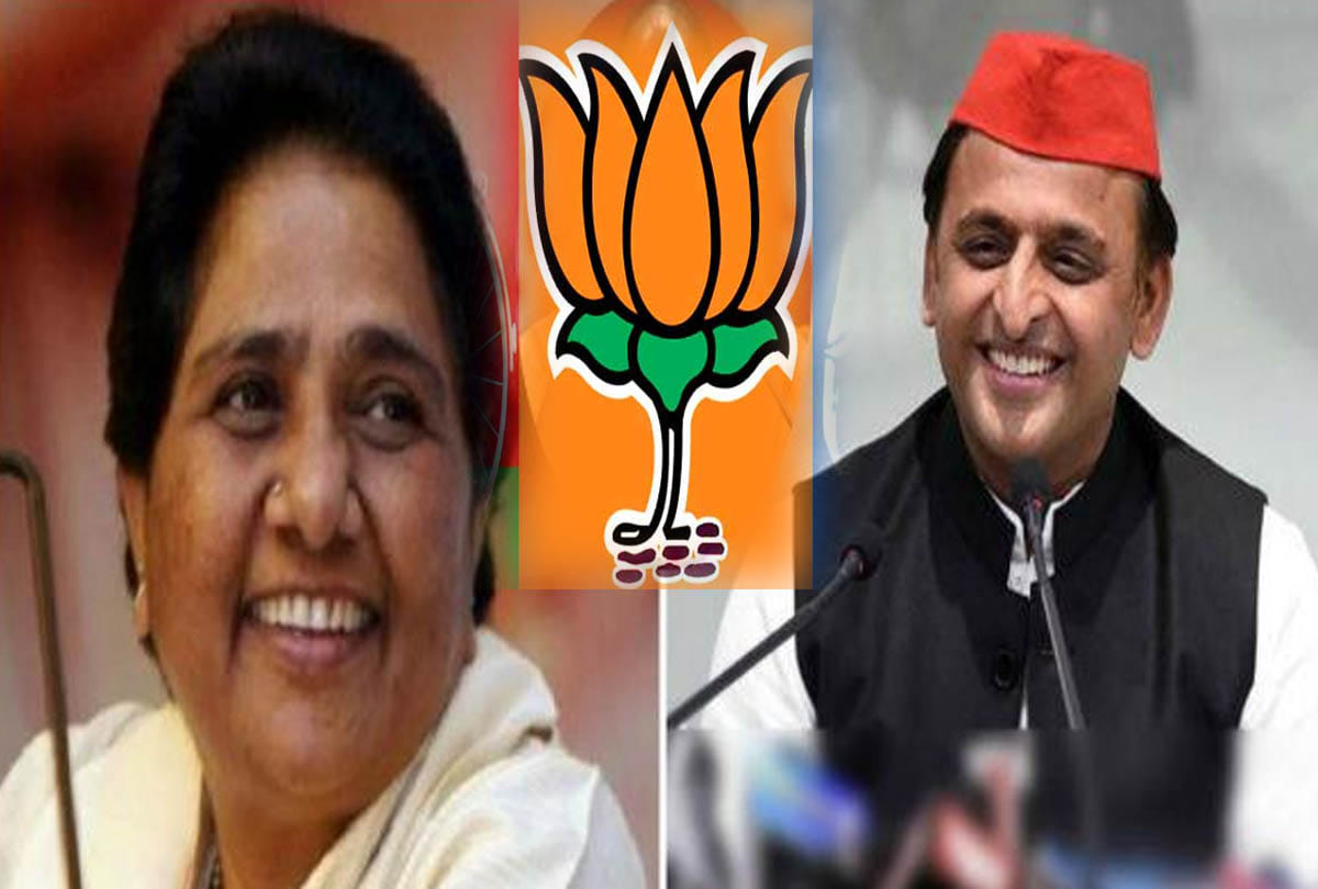 SP and BSP combine benefitted