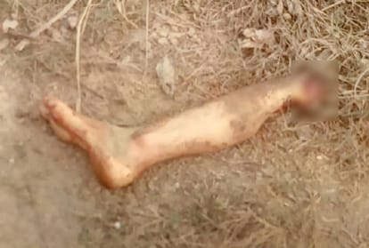 piece of woman leg found in palwal haryana, police probe on