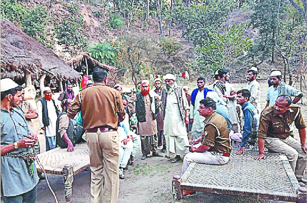 Cannon shot down, woman's death