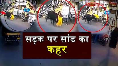 bull hit woman in bharuch