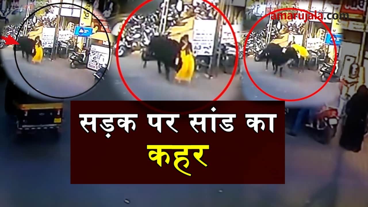 bull hit woman in bharuch
