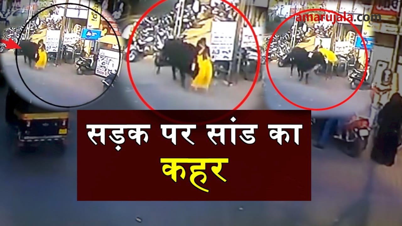 bull hit woman in bharuch