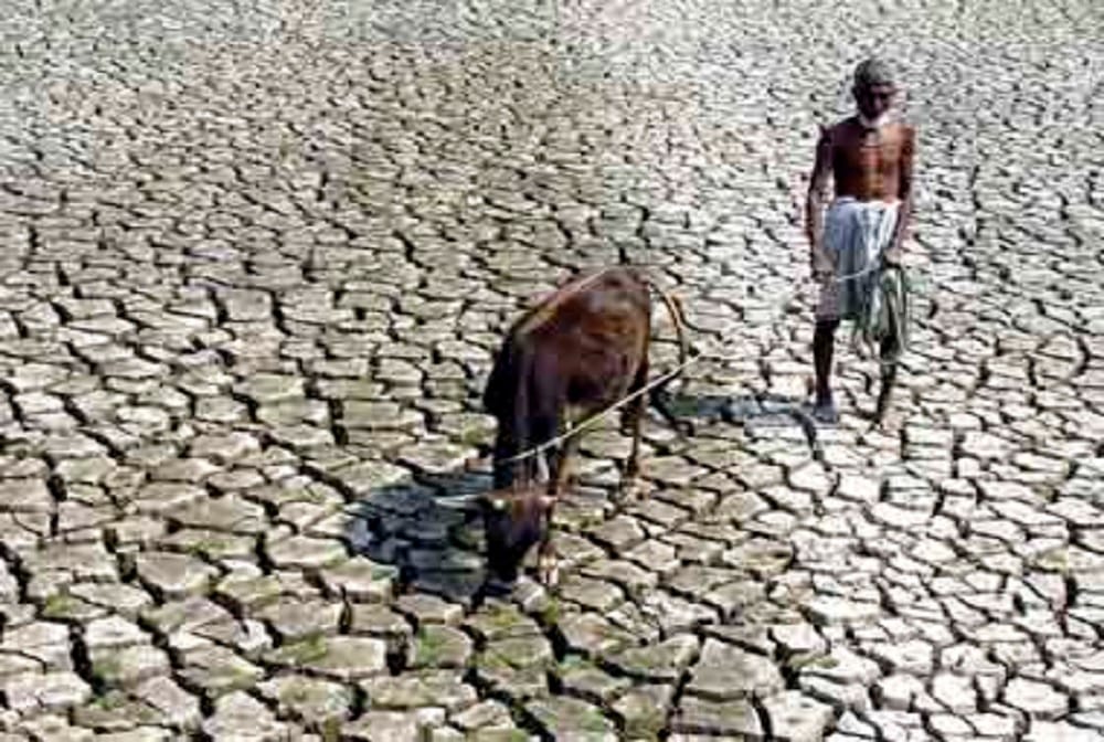 Maharashtra Farmers of Vidarbha will come good days