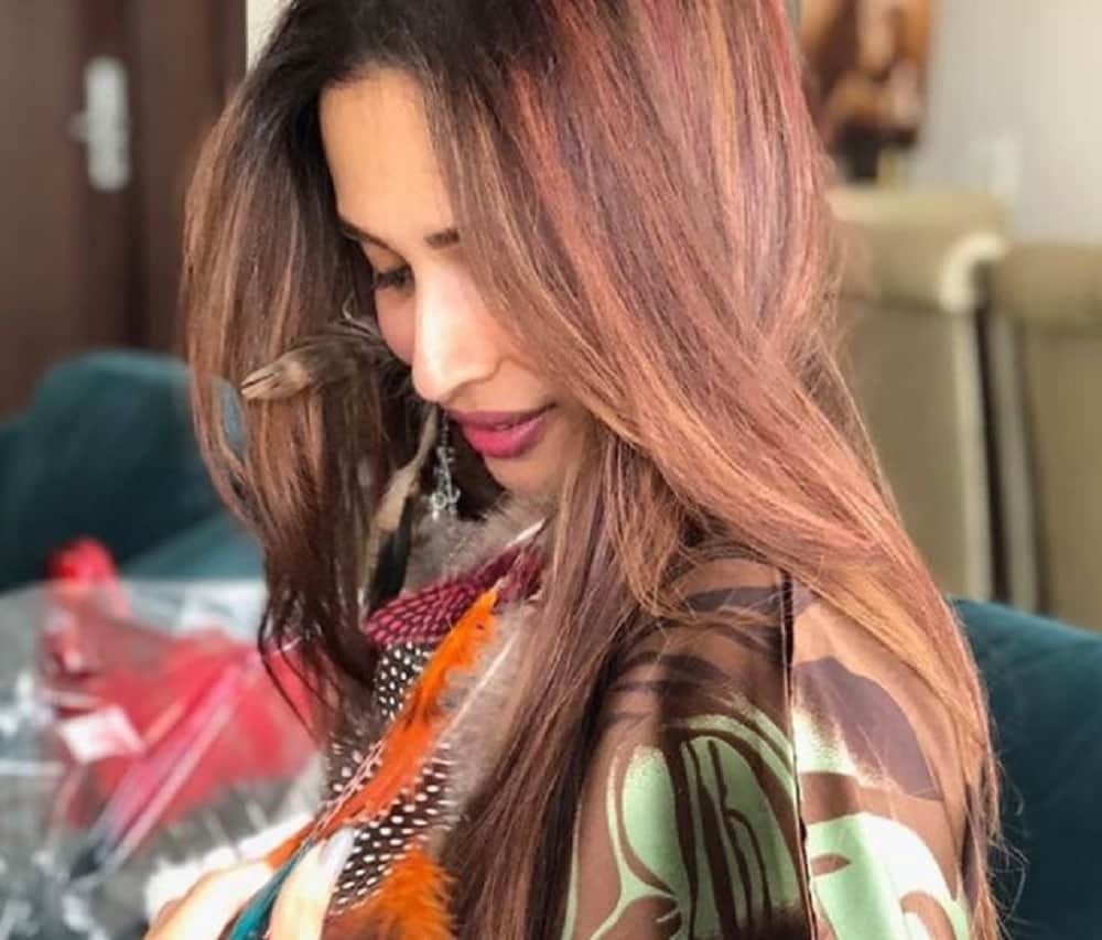 IPL Betting Arbaaz Khan Questioned While Ex Wife Malaika Arora Parties With Kareena Kapoor