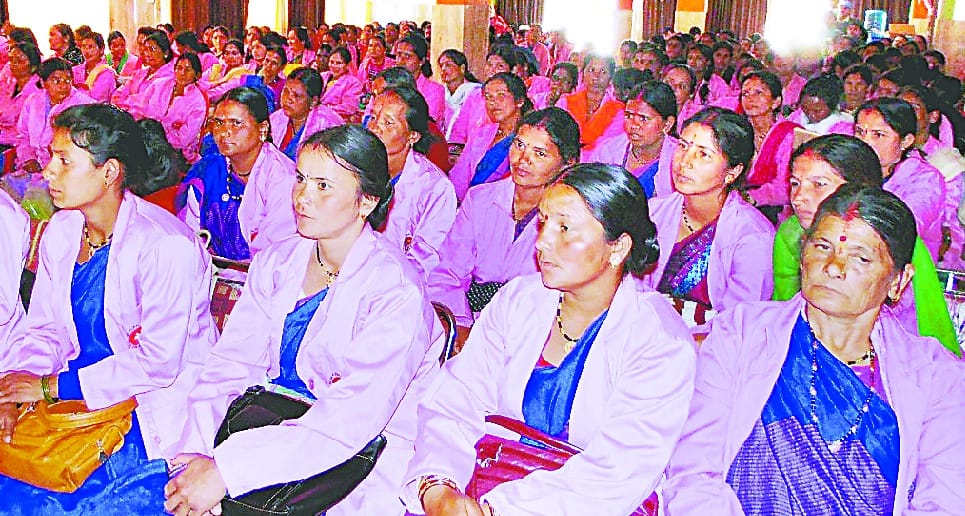 bedini HRP software will be helpful for high risk pregnent ladies