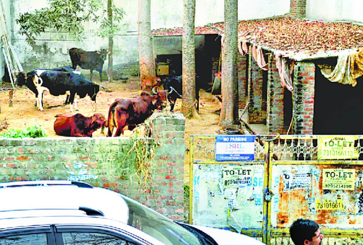 stable of Cabinet minister in VIP colony of lucknow