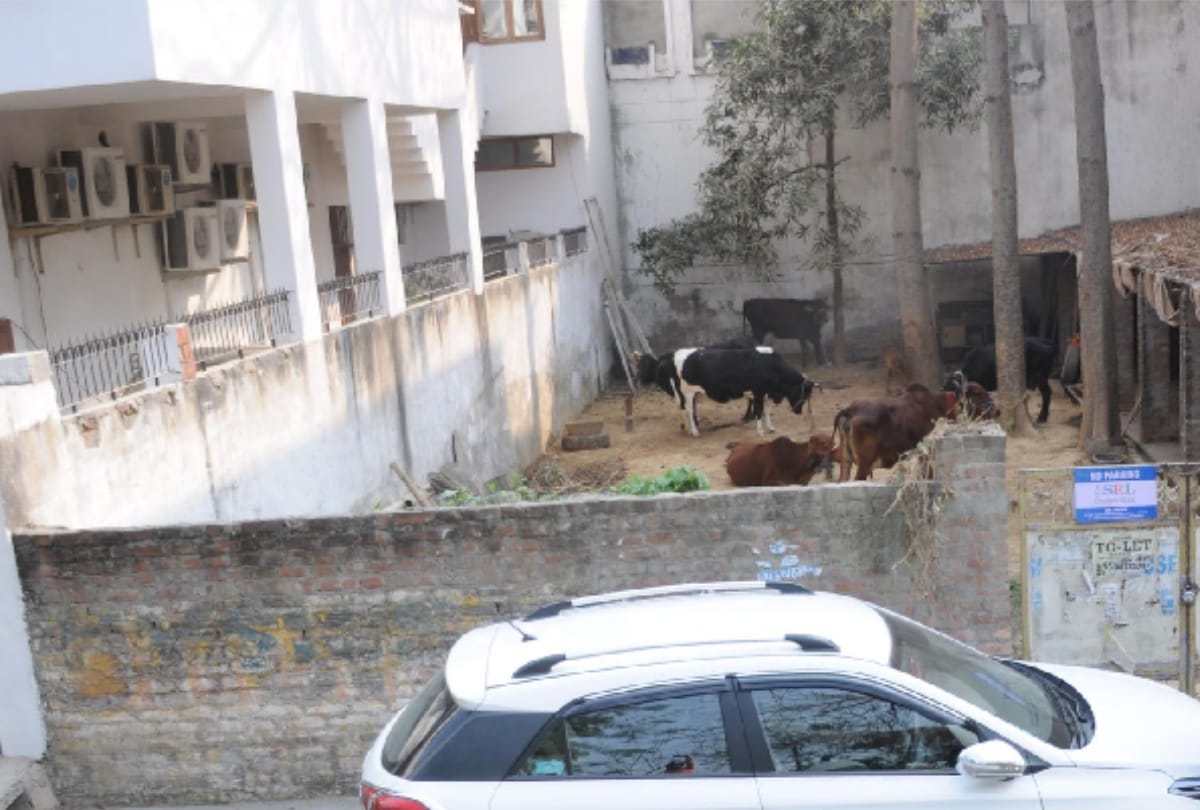 stable of Cabinet minister in VIP colony of lucknow
