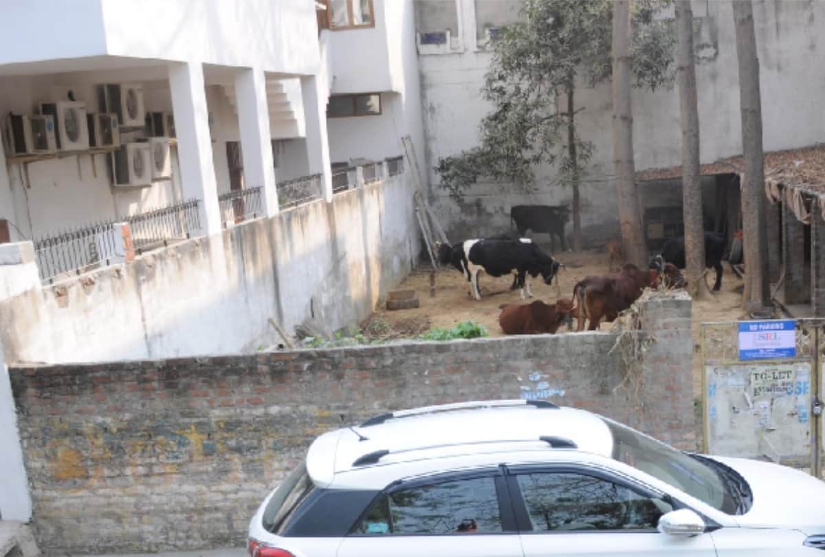 stable of Cabinet minister in VIP colony of lucknow