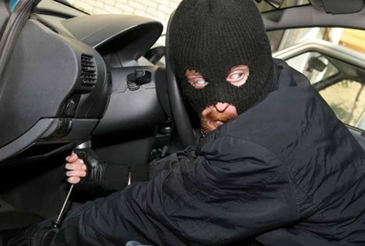 These thieves cut expensive cars into pieces