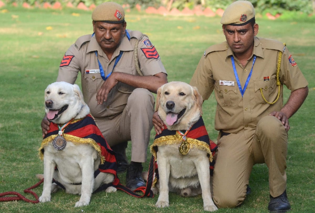 delhi police headquarters organise dog show, felicitate dog babu