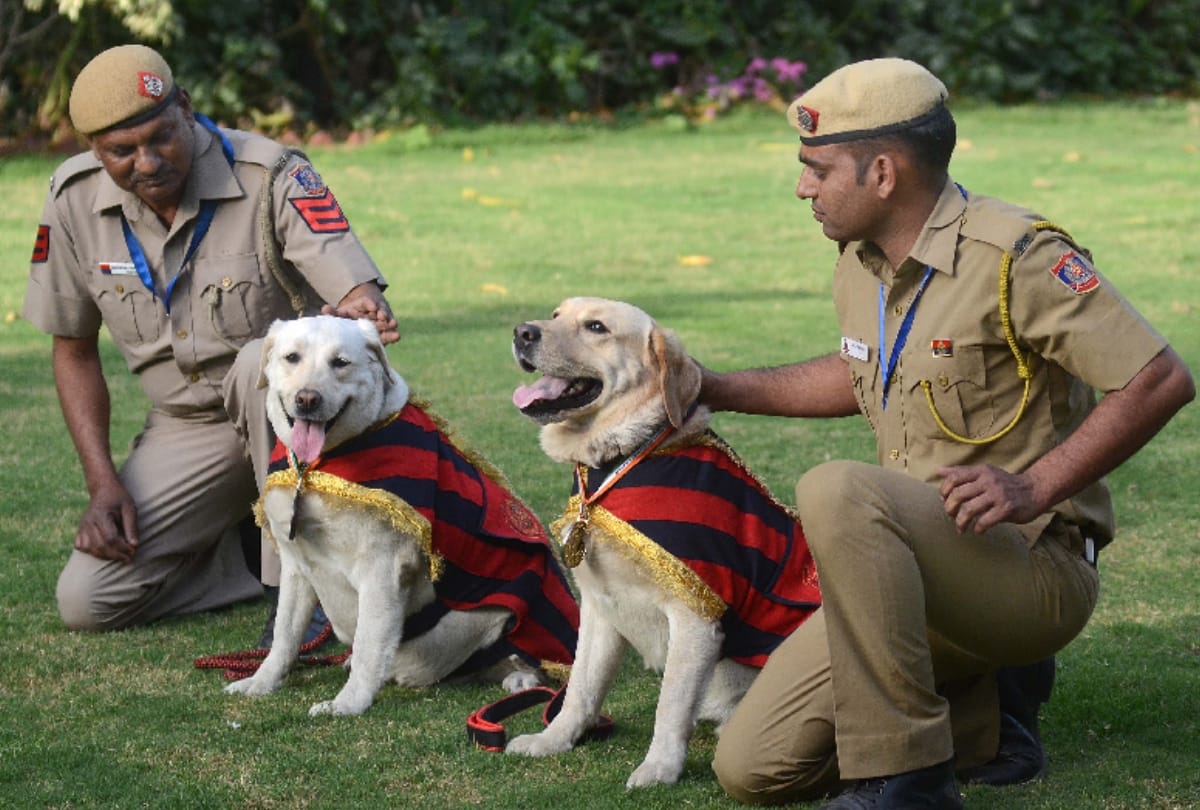 delhi police headquarters organise dog show, felicitate dog babu