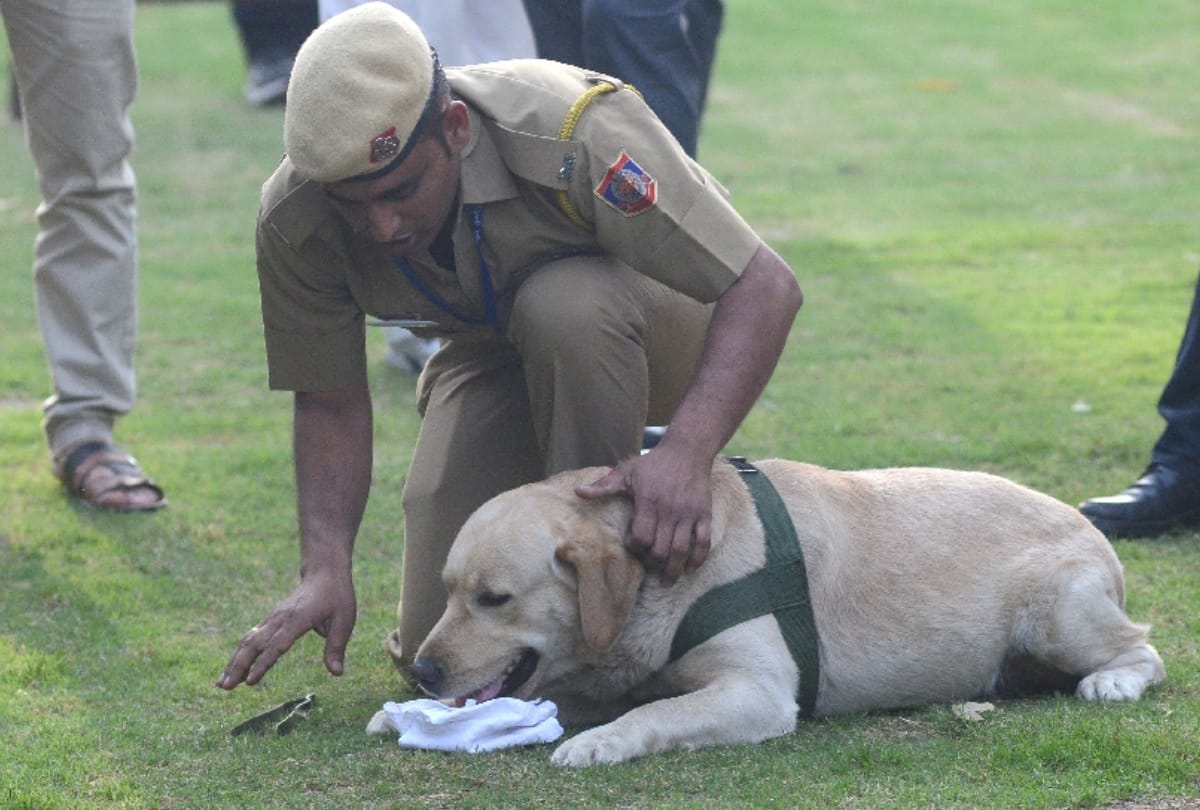 delhi police headquarters organise dog show, felicitate dog babu