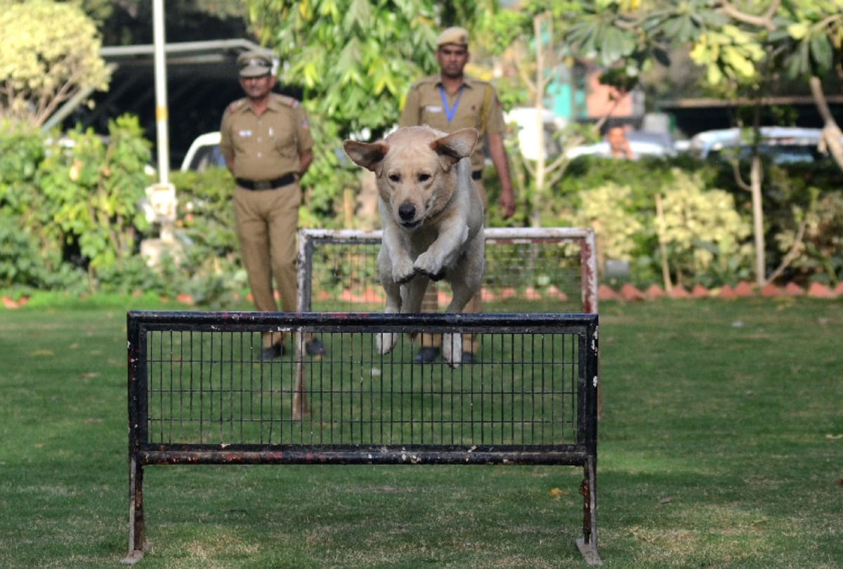 delhi police headquarters organise dog show, felicitate dog babu