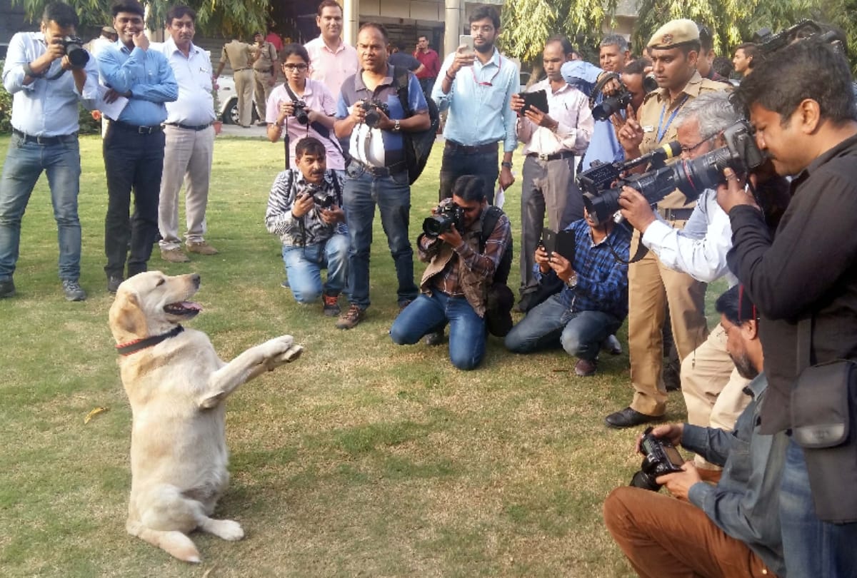 delhi police headquarters organise dog show, felicitate dog babu