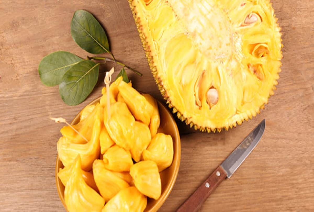 jackfruit or kathal interesting facts about this fruit