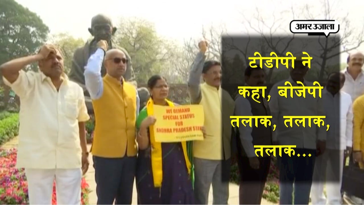 टीडीपी बीजेपी